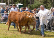 Malton Show 2024